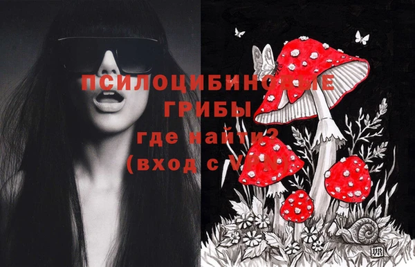 герыч Няндома