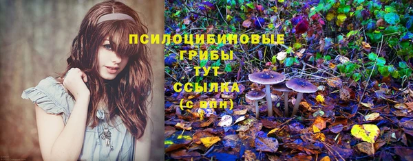 герыч Няндома